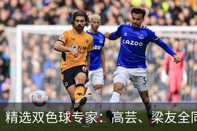 精选双色球专家：高芸、梁友全同中二等279万！